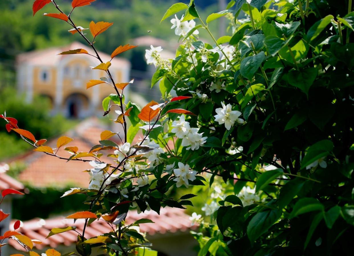 Iliikova House Hotel Kalofer Buitenkant foto