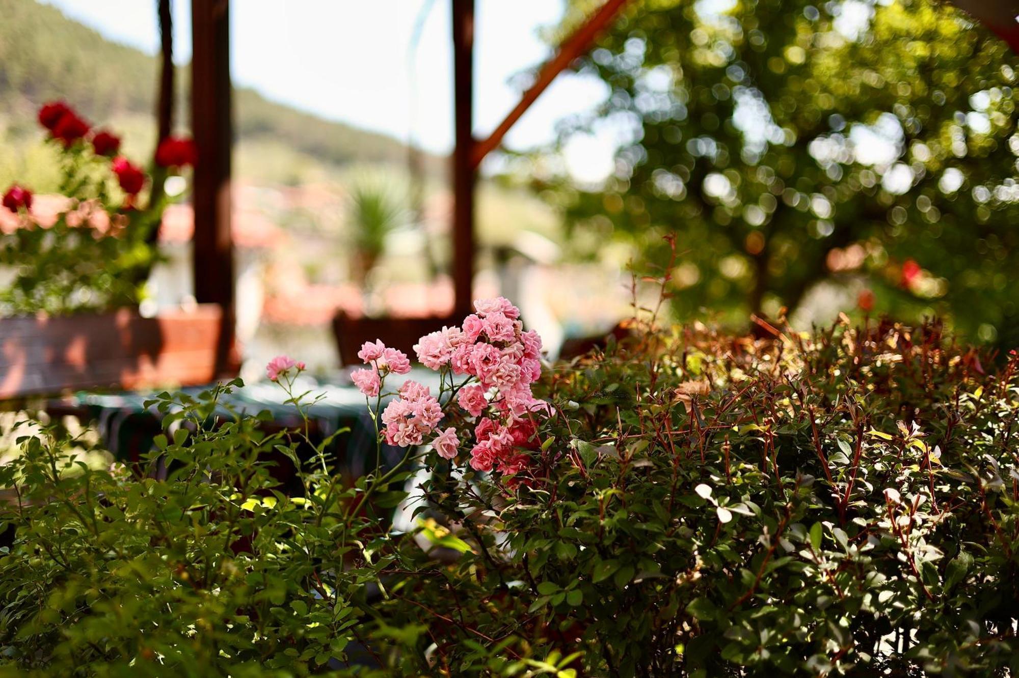 Iliikova House Hotel Kalofer Buitenkant foto